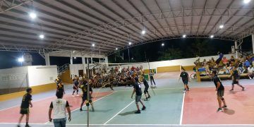 Lion´s saca la garra, es campeón
