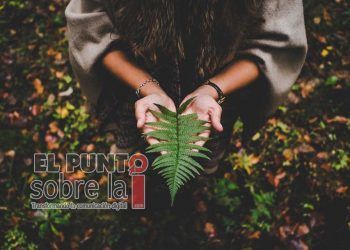 Recuerdan importancia de conmemorar el Día Mundial del Medio Ambiente