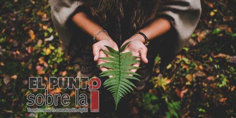 Recuerdan importancia de conmemorar el Día Mundial del Medio Ambiente