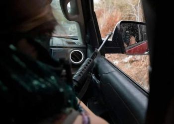 ¿La delincuencia es más inteligente que los grupos de seguridad en Quintana Roo?