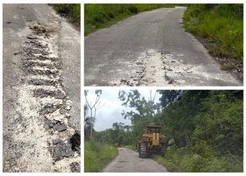 Funcionario del gobierno del «Cambio» destruye tramo carretero