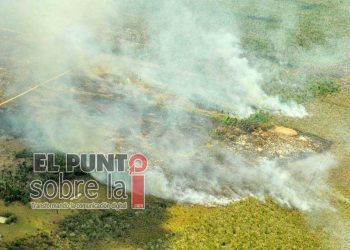 Semarnat abre consulta sobre métodos de uso del fuego en terrenos forestales