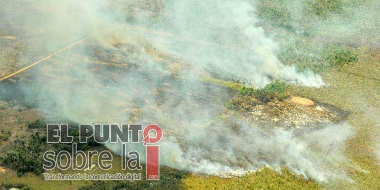 Semarnat abre consulta sobre métodos de uso del fuego en terrenos forestales
