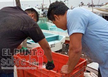 Unos 800 pescadores de Lázaro Cárdenas, afectados por recientes lluvias