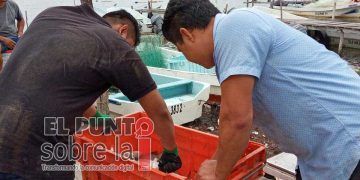 Unos 800 pescadores de Lázaro Cárdenas, afectados por recientes lluvias