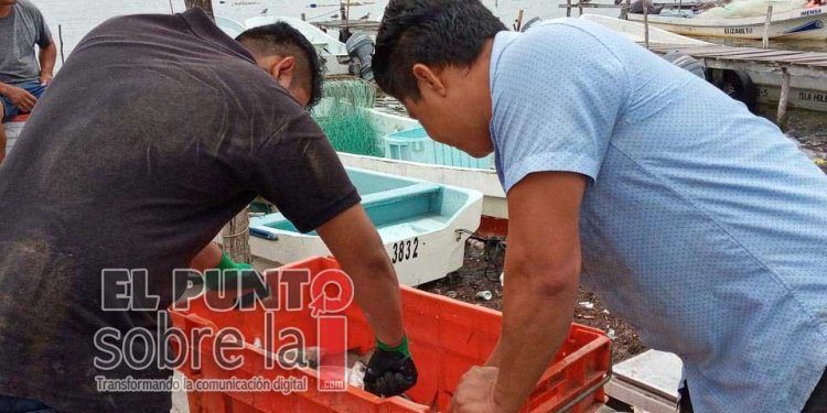Unos 800 pescadores de Lázaro Cárdenas, afectados por recientes lluvias
