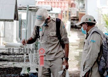 Reportan 14 casos de dengue, Zika y Chikunguña en el estado, ocho en Benito Juárez