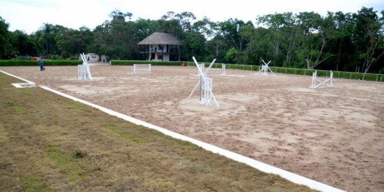 Seis estados, en la Copa Oro Nacional de Equitación en Solidaridad