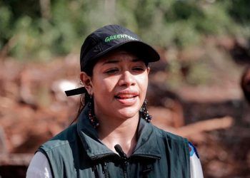 Greenpeace exige al presidente detener el ecocidio por el Tren Maya