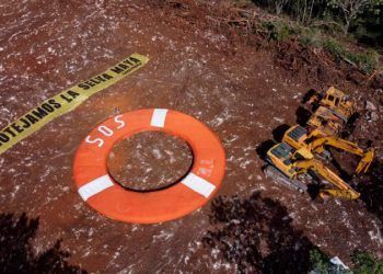 Greenpeace denuncia la reanudación ilegal de obras del Tren Maya
