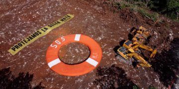 Greenpeace denuncia la reanudación ilegal de obras del Tren Maya
