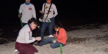 Registran alza de casi 15% en nidos de tortuga en Punta Sur, Cozumel, respecto a 2021