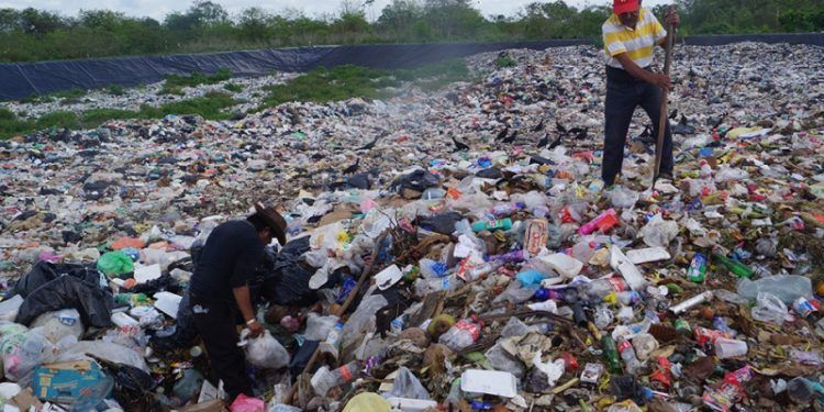Se zambullen a diario en 10 toneladas de basura para poder mantener a sus familias