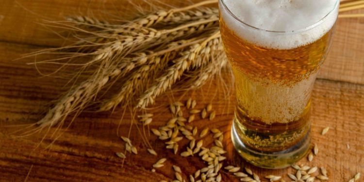 La composición de la cadena de valor que contribuye con 1.5% del PIB