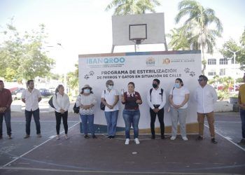 En marcha programa de esterilización de perros y gatos en situación de calle