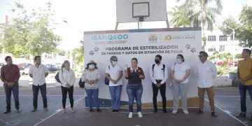 En marcha programa de esterilización de perros y gatos en situación de calle
