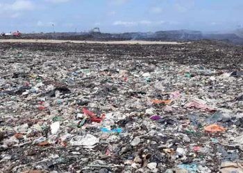 Trabaja el ayuntamiento capitalino para sanear el basurero de Chetumal