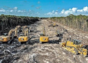 Rompe “tren maya” con casi 30 años de trabajo del corredor biológico mesoamericano