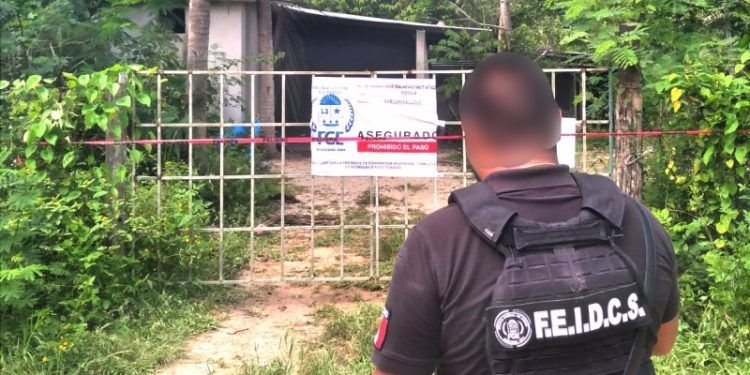 Asegura FGE Quintana Roo vehículos, cartuchos, chalecos y drogas durante cateo en Othón P. Blanco