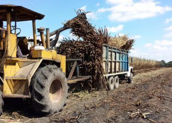 Inicia el censo agropecuario 2022 en Quintana Roo y en el país
