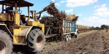 Inicia el censo agropecuario 2022 en Quintana Roo y en el país