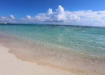Firme compromiso de Grupo Piñero por la conservación de las costas a través de su Programa «Playas»