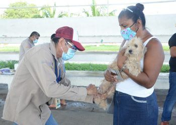 Del 25 de septiembre al 1 de octubre la Jornada Nacional de Vacunación Antirrábica Canina y Felina