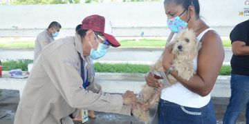 Del 25 de septiembre al 1 de octubre la Jornada Nacional de Vacunación Antirrábica Canina y Felina