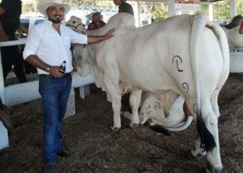 Tomarán ganaderos instalaciones del Comité Estatal para el Fomento y Protección Pecuaria de Quintana Roo.