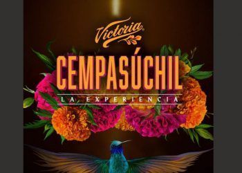 Cerveza victoria presenta: victoria cempasúchil la experiencia inmersiva más emotiva de la temporada
