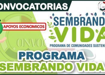 Denuncian ha Facilitador de Sembrando Vida, por borracho y acosador