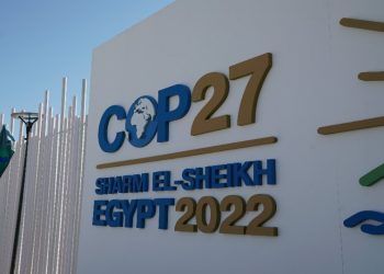 COP 27: urge cambiar los sistemas alimentarios, desde lo local, II