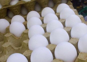 Canasta básica, fuera del alcance de capitalinos