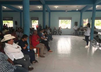 Dan luz verde ejidos para el Tren Maya