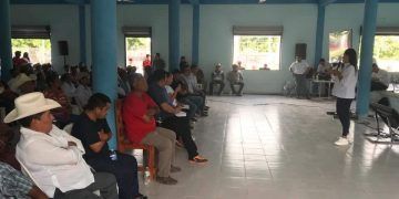 Dan luz verde ejidos para el Tren Maya