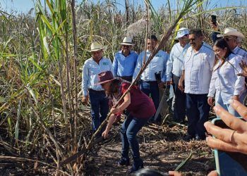 Histórico machetazo de inicio de zafra de Mara Lezama