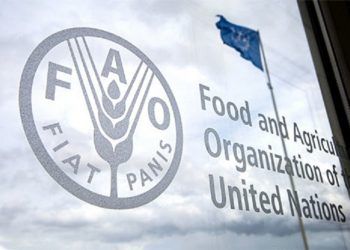 FAO, aliado necesario para combatir pobreza alimentaria