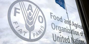 FAO, aliado necesario para combatir pobreza alimentaria