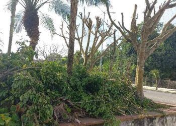 Municipio de la zona maya atenta contra la naturaleza
