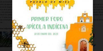 Apicultores mayas de Quintana Roo, organizan su primer foro apícola en Xcabil