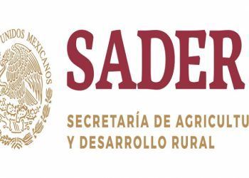 Denuncian corrupción en la Secretaría de Agricultura Desarrollo y Rural (SADER)
