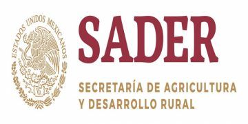 Denuncian corrupción en la Secretaría de Agricultura Desarrollo y Rural (SADER)