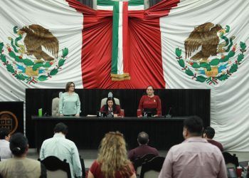 Analizarán en Comisiones iniciativa para transformar la Secretaría de Bienestar