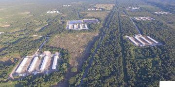 “Ni un cerdito más”; granjas porcícolas en península de Yucatán