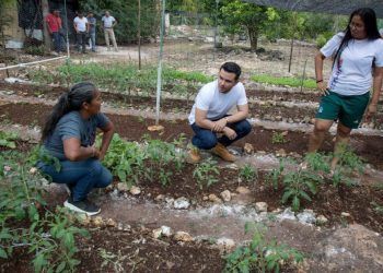 Con un presupuesto histórico social el Bienestar llegará a las familias y mujeres de Quintana Roo: Pablo Bustamante