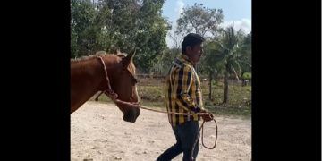 Confirmado, tienen secuestrado a Jimmy, 5 individuos se lo llevaron