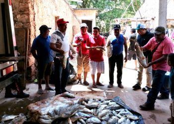 Los “Amigos con Nivardo Mena” están presentes con pescado en la Zona Maya