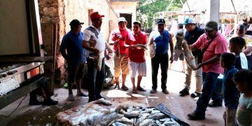 Los “Amigos con Nivardo Mena” están presentes con pescado en la Zona Maya