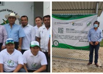 Denuncian desvíos de recursos por parte del presidente del Comité de Sanidad Vegetal de Quintana Roo