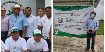 Denuncian desvíos de recursos por parte del presidente del Comité de Sanidad Vegetal de Quintana Roo